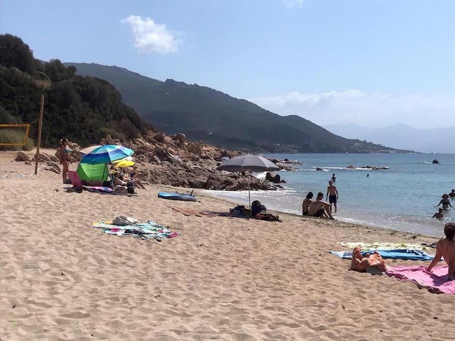 Bel App T2 En Bord De Mer Vue Sanquinaires Piscine Ajaccio  Kültér fotó