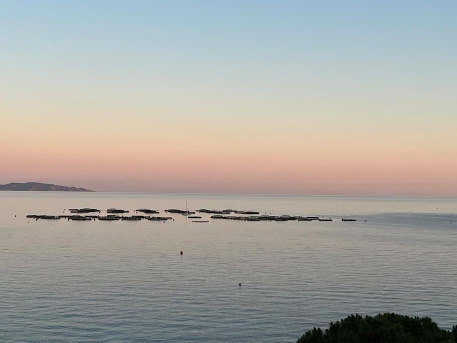 Bel App T2 En Bord De Mer Vue Sanquinaires Piscine Ajaccio  Kültér fotó